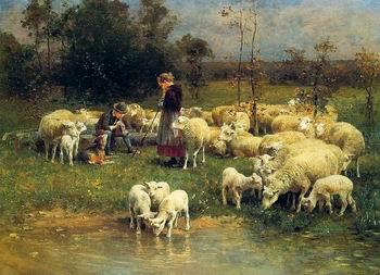  Sheep 068